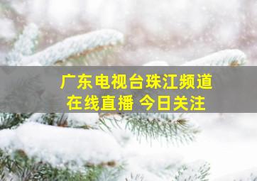 广东电视台珠江频道在线直播 今日关注